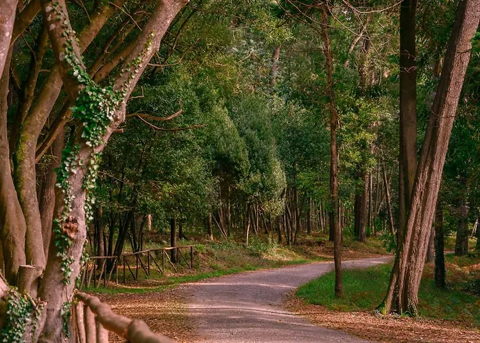 Апартаменты Sunset Фигейра-да-Фош